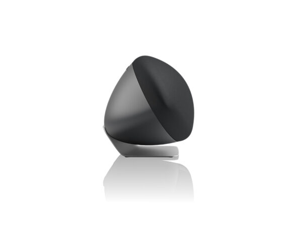 BW Zeppelin Pro Edition Space Grey Side