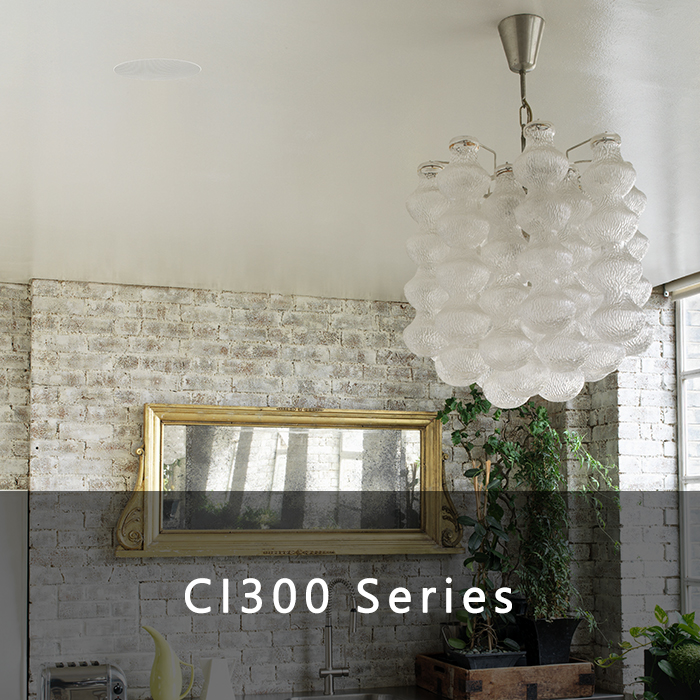 CI300 series