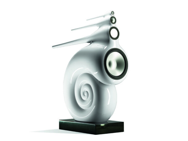 Nautilus White Beauty